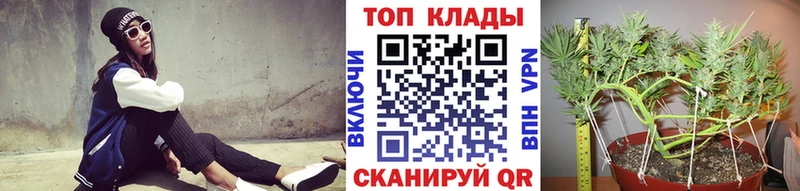 Цена Владимир Alpha-PVP  Меф мяу мяу  Cocaine  Гашиш  Амфетамин  Канабис 