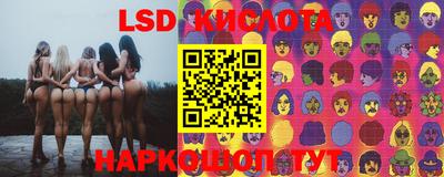 мяу мяу мука Апшеронск