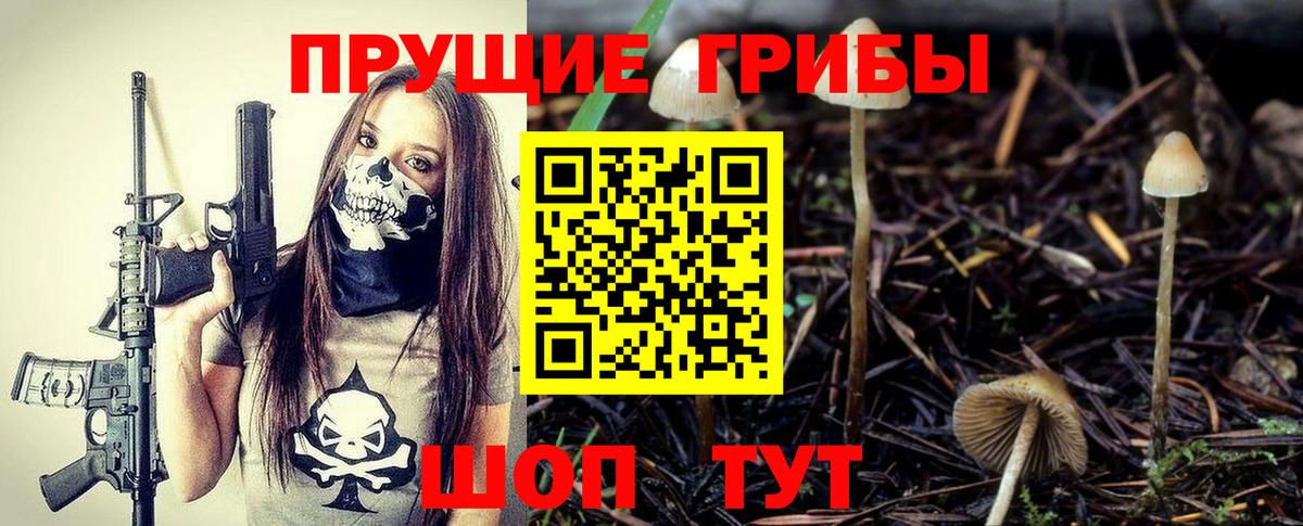 где продают   Владимир  Галлюциногенные грибы GOLDEN TEACHER  Псилоцибиновые грибы Magic Shrooms 