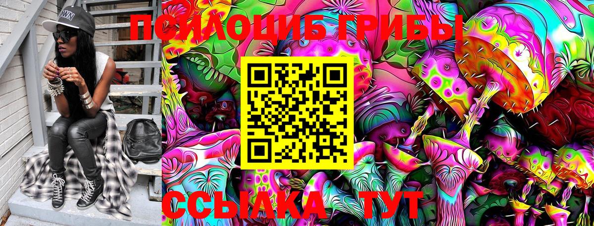 Псилоцибиновые грибы прущие грибы Владимир