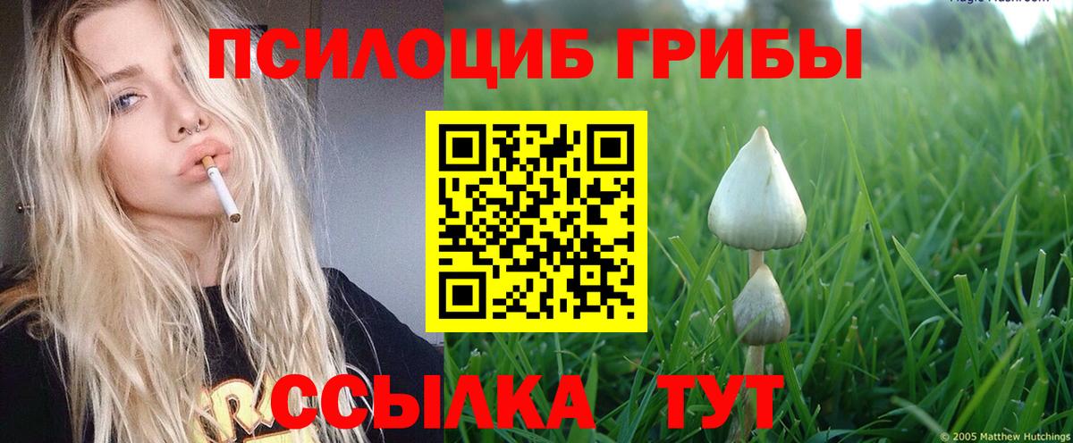 Галлюциногенные грибы GOLDEN TEACHER  Вход с VPN  Владимир 
